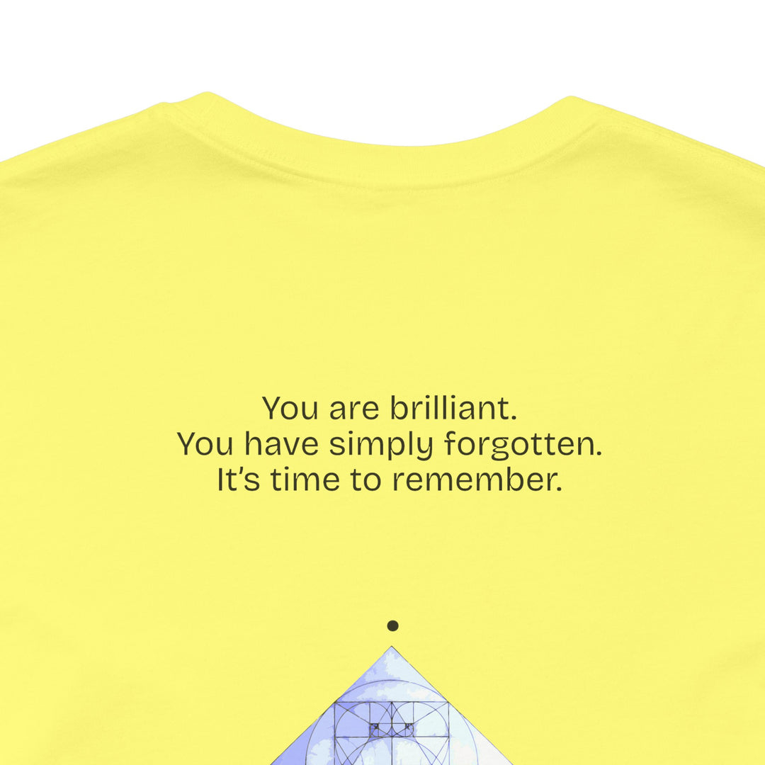 You are brilliant.  You have simply forgotten.  It’s time to remember.
