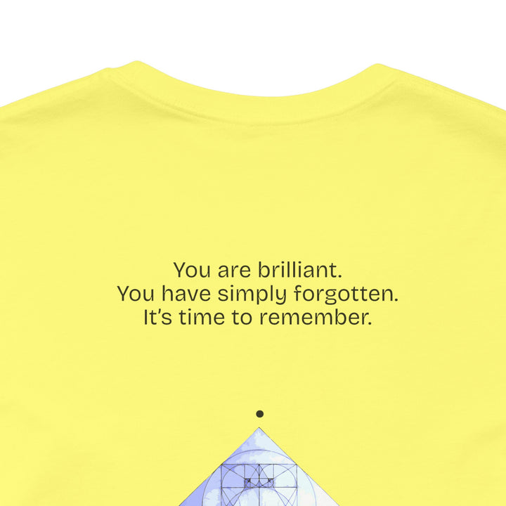 You are brilliant.  You have simply forgotten.  It’s time to remember.