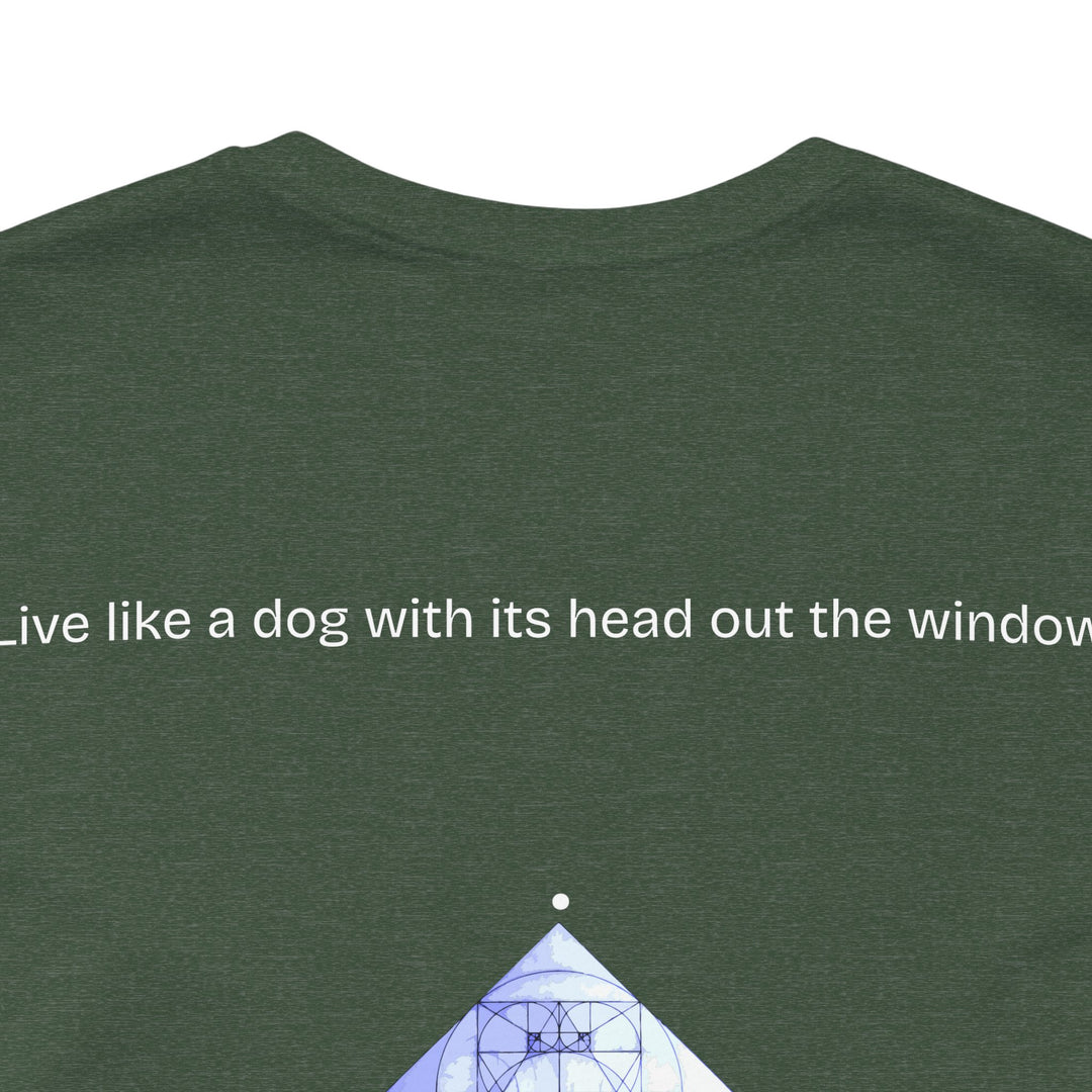 Live like a dog with its head out the window.