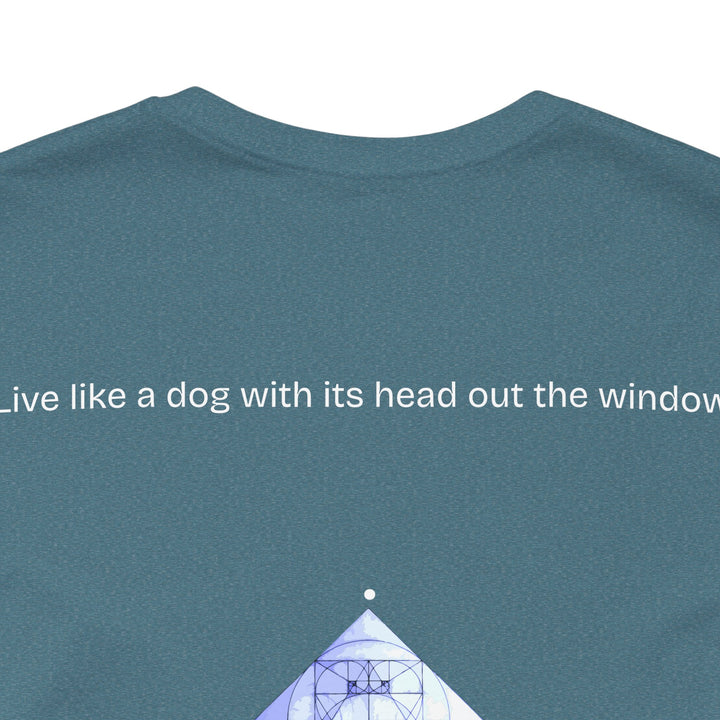 Live like a dog with its head out the window.