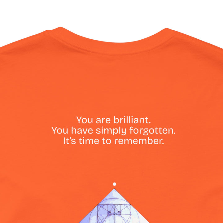 You are brilliant.  You have simply forgotten.  It’s time to remember.