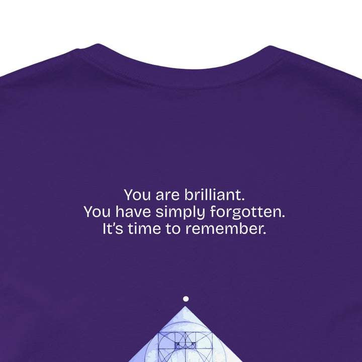 You are brilliant.  You have simply forgotten.  It’s time to remember.