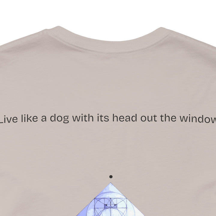 Live like a dog with its head out the window.
