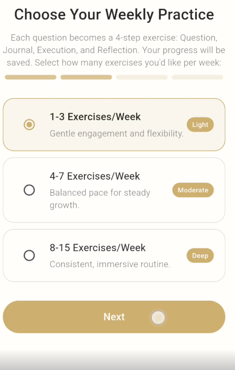 The Dig™ (coming soon!)